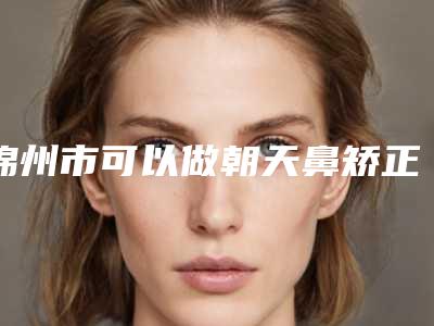 锦州市可以做朝天鼻矫正修复的医院(凌海东方天使医疗美容门诊部评价高)